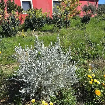 Le Dimore Rosse - Feriegård